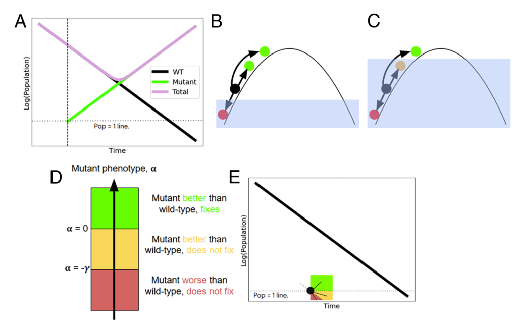 graphical overview of Andon et al PNAS 2026